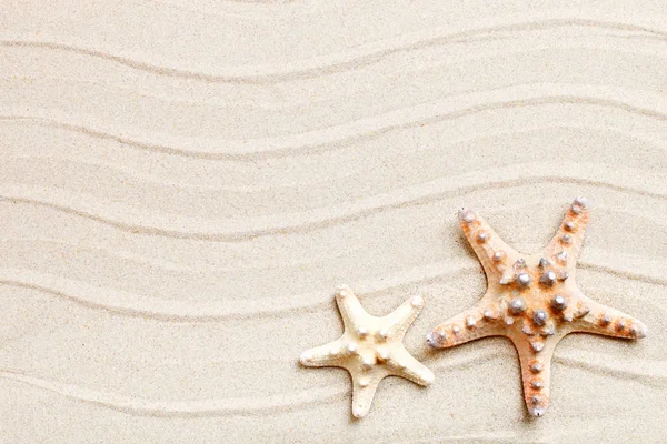 Hojas de estrellas de mar y palmeras sobre la arena del mar. Hay un lugar para las etiquetas . — Foto de Stock