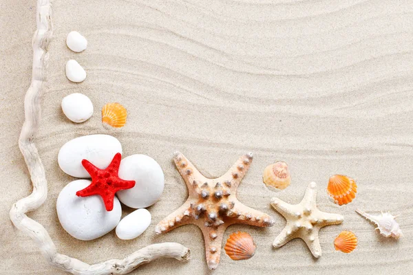 Hvězdice, mušle, moře kamenů a palm nechává ležet na mořském písku. Zde je místo pro štítky. — Stock fotografie