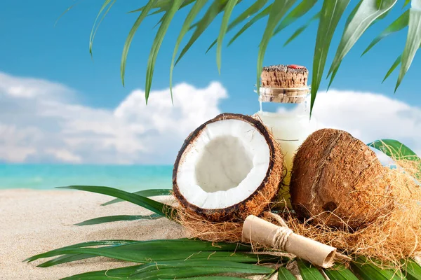 Meeres-Komposition aus Kokosnuss- und Palmblättern vor dem Hintergrund der wunderschönen Meereslandschaft. — Stockfoto