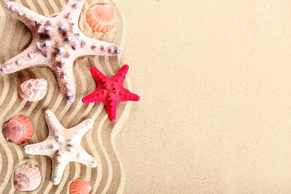 Estrella de mar, conchas marinas, piedras marinas y hojas de palma que yacen sobre la arena marina. Hay un lugar para las etiquetas . — Foto de Stock