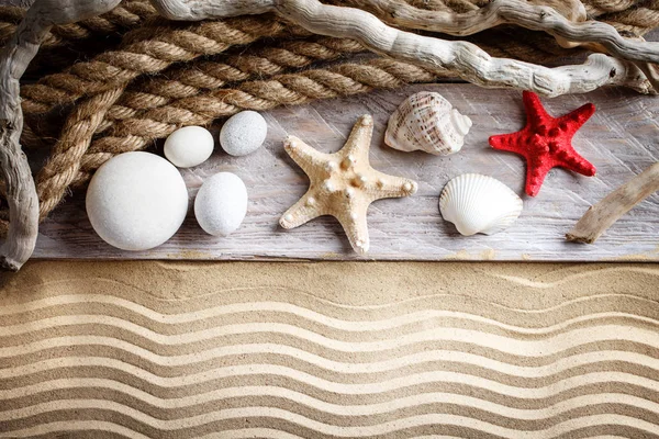 Estrellas de mar y conchas en la playa. — Foto de Stock