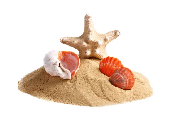 Mořský písek a mušle. Letní dovolená. — Stock fotografie