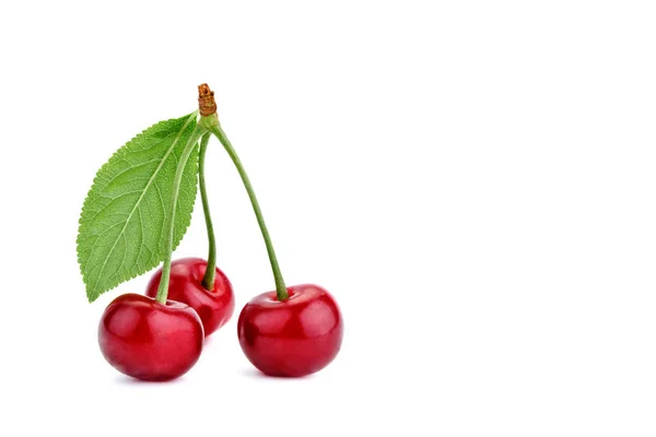 Beeren reife Kirsche auf weißem Hintergrund. — Stockfoto