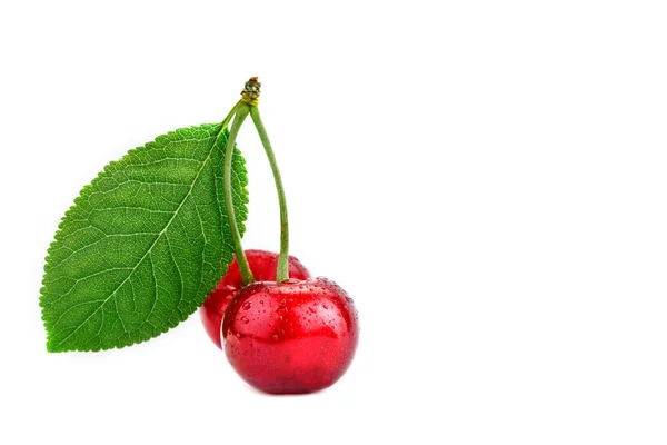 Beeren reife Kirsche auf weißem Hintergrund. — Stockfoto