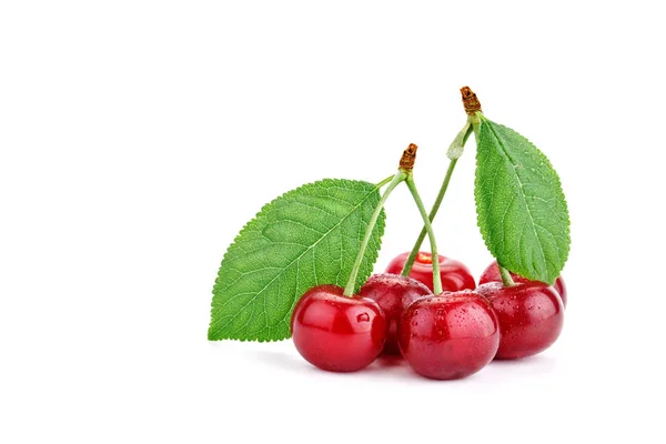 Bayas cereza madura sobre un fondo blanco . — Foto de Stock