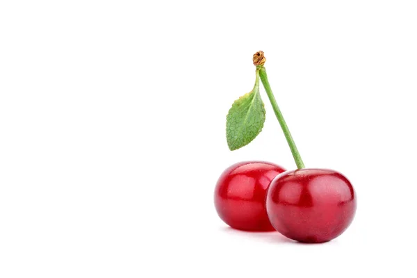 Berries matang ceri pada latar belakang putih . — Stok Foto