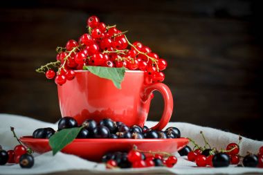 Ahşap bir masa üzerinde olgun kırmızı ve siyah kuş üzümü.