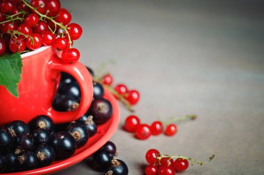 Ahşap bir masa üzerinde olgun kırmızı ve siyah kuş üzümü.