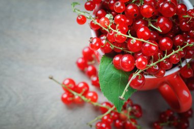 Ahşap bir masa üzerinde olgun kırmızı kuş üzümü.