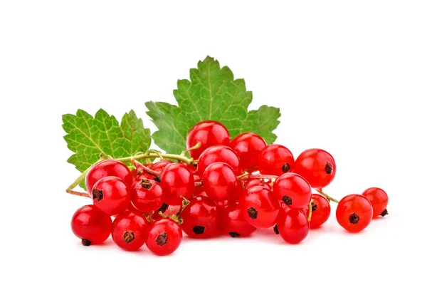 Ripe delicious red currant white background. — Stock Photo, Image