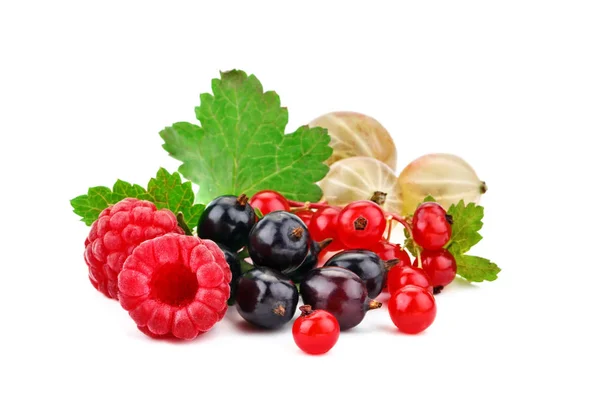 Leckere reife Himbeeren und Johannisbeeren auf weißem Hintergrund. — Stockfoto