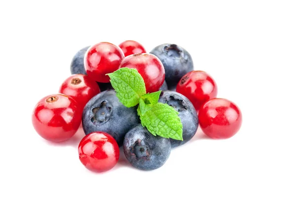 A bunch of fresh berries on a white background. Ripe Sweet Blueberry and red Currant. — Stock Photo, Image