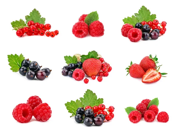 Berry theme mix composed of different images. Royalty Free Stock Images