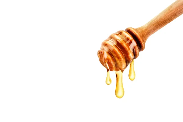 Delicious fresh honey dripping off the spoon. — Stock Photo, Image