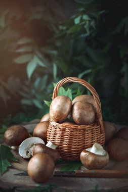 Bir ağaç kütüğü üzerinde bir sepet içinde Brown mantar.