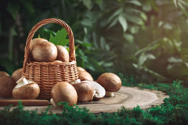 Bir ağaç kütüğü üzerinde bir sepet içinde Brown mantar.