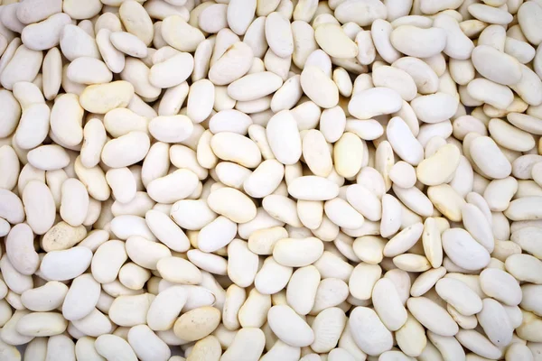 Background of white beans.
