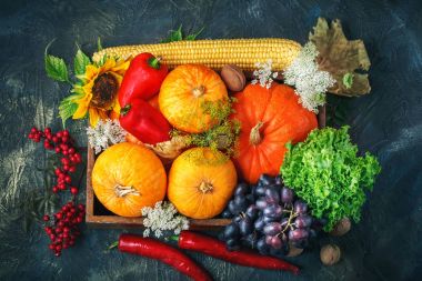 Tablo, sebze ve meyve ile dekore edilmiştir. Hasat Festivali, Şükran günün kutlu olsun.