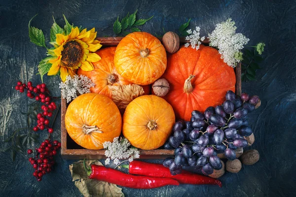 Стол, украшенный овощами и фруктами. Праздник урожая, С Днем Благодарения . — стоковое фото