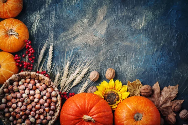 Πίνακας διακόσμηση με κολοκύθες και. Συγκομιδή Φεστιβάλ, ευτυχής ημέρα των ευχαριστιών. — Φωτογραφία Αρχείου