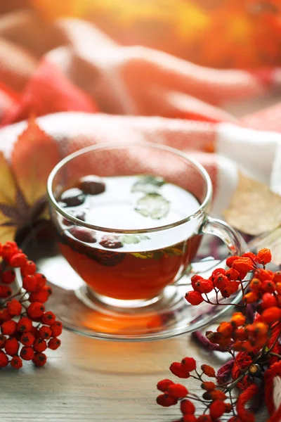 Bir fincan çay ve üvez meyveleri ahşap bir masa üzerinde. Sonbahar natürmort.