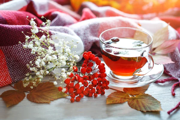 Bir fincan çay ve üvez meyveleri ahşap bir masa üzerinde. Sonbahar natürmort.