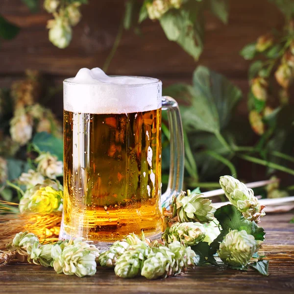 Bir bardak taze bira ahşap bir masa üzerinde.