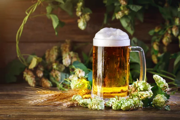 Um copo de cerveja fresca em uma mesa de madeira . — Fotografia de Stock