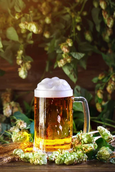 Um copo de cerveja fresca em uma mesa de madeira . — Fotografia de Stock