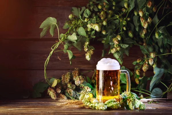 Склянка свіжого пива на дерев'яному столі . — стокове фото