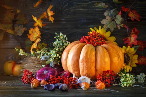 Дерев'яний стіл прикрашена овочі, гарбуза і Осіннє листя. Осінній фону. День подяки фон Schastlivy. — стокове фото