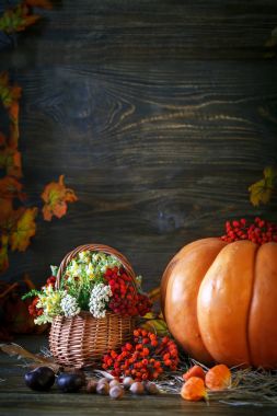 Ahşap masa vahşi kabaklar ve sonbahar yaprakları tarafından çiçeklerle süslenmiş. Sonbahar arka plan. Mutlu Şükran günü arka plan.