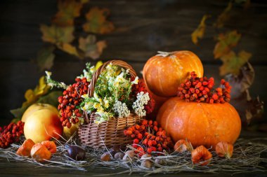 Ahşap masa vahşi kabaklar ve sonbahar yaprakları tarafından çiçeklerle süslenmiş. Sonbahar arka plan. Mutlu Şükran günü arka plan.