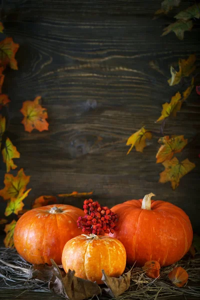 Ahşap masa kabaklar ve sonbahar yaprakları ile süslenmiş. Sonbahar arka plan. Mutlu Şükran günü arka plan.