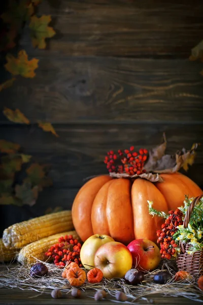 Tabellen trä dekorerad med grönsaker, pumpor och höstlöv. Hösten bakgrund. Schastlivy von Thanksgiving Day. — Stockfoto