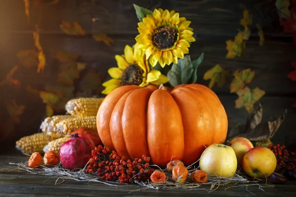 Ahşap masa sebze, kabak ve sonbahar yaprakları ile süslenmiş. Sonbahar arka plan. Schastlivy von Şükran günü.