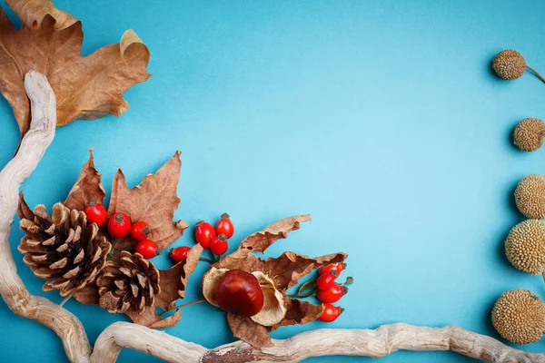 Sonbahar yaprakları ve çam kozalakları mavi bir arka plan üzerinde. Sonbahar arka plan kopya alanı ile.