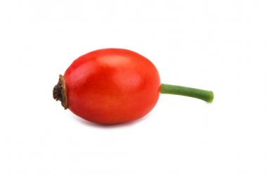 Dogrose berries on a white background.