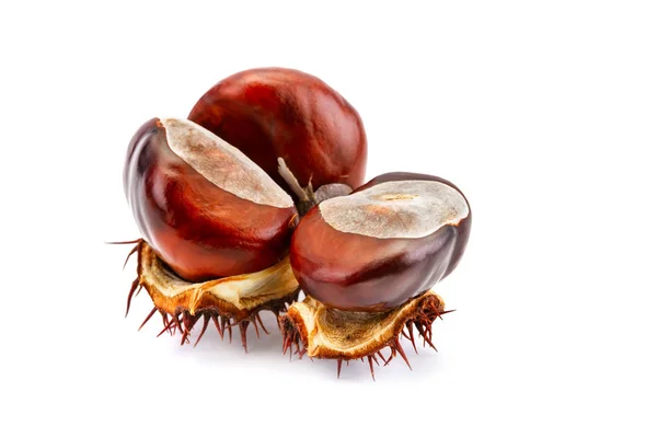 Chestnuts with peel on white background. An isolated object. — Stock Photo, Image