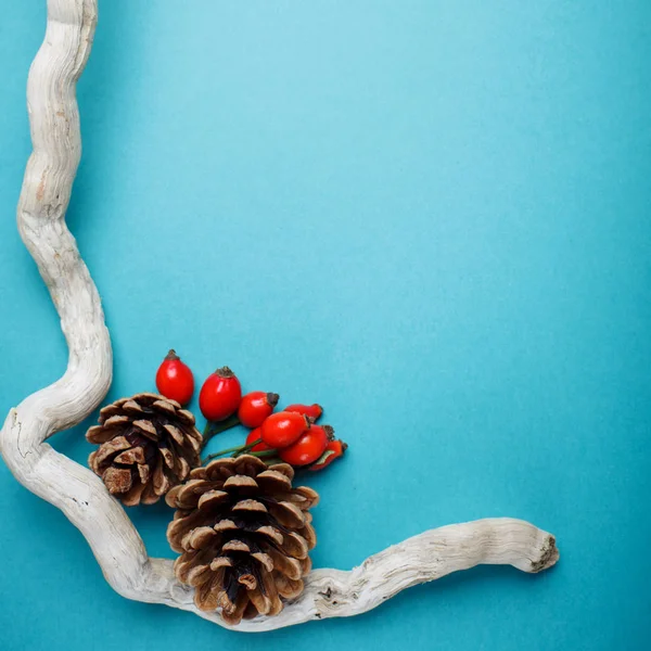 Sonbahar yaprakları ve çam kozalakları mavi bir arka plan üzerinde. Sonbahar arka plan kopya alanı ile.