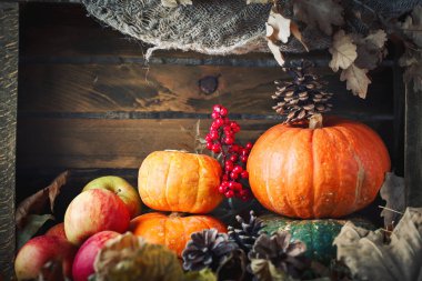 Bir tablo ile kabak, hasat festivali, Şükran günün kutlu olsun dekore edilmiştir..