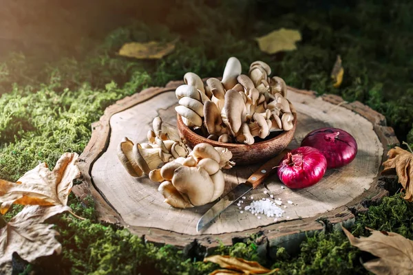 Rauwe paddestoelen op de stomp en herfstbladeren. Herfst stilleven. Selectieve aandacht. Herfst achtergrond. — Stockfoto