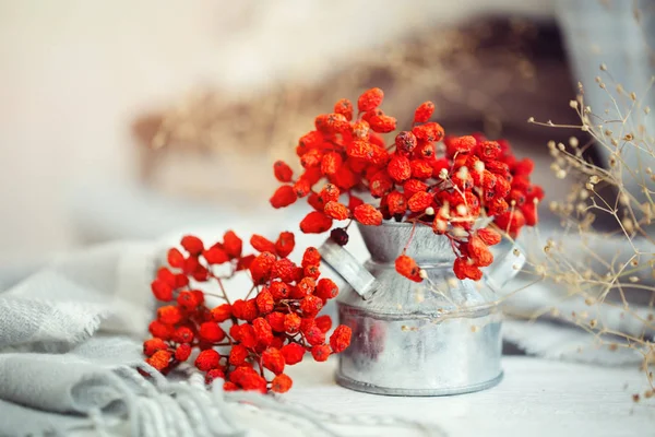 Vogelbeeren auf einem Holztisch. Herbsthintergrund. Herbst-Stillleben. — Stockfoto