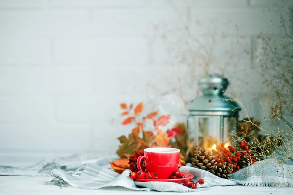 Kopp kaffe, kottar, bär och hösten lämnar på ett träbord. Hösten bakgrund. — Stockfoto