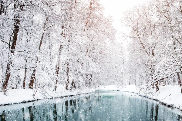 雪の美しい冬の風景には、木が覆われています。明けましておめでとう。メリークリスマス — ストック写真