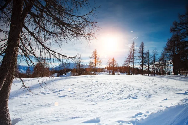 美しいアルプス山脈。冬の風景. — ストック写真