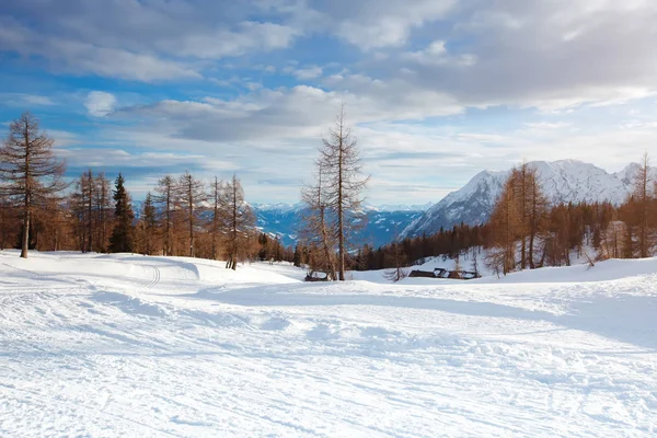 De belles montagnes alpines. Paysage hivernal . — Photo