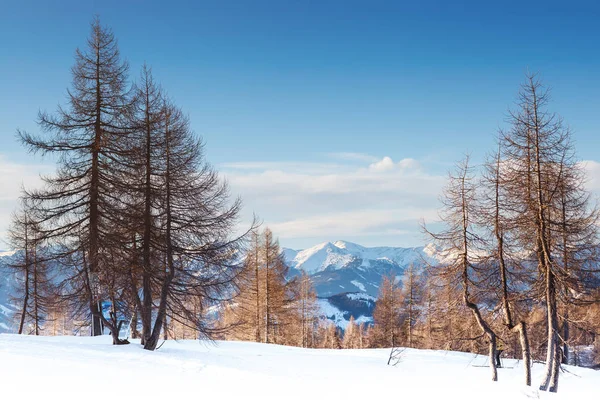 Красивые альпийские горы. Зимний пейзаж . — стоковое фото