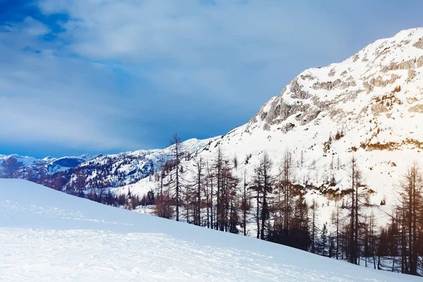 美しいアルプス山脈。冬の風景. — ストック写真