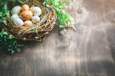 Mutlu Paskalyalar. Paskalya arkaplanını tebrik ederim. Paskalya yumurtası ve çiçekleri.